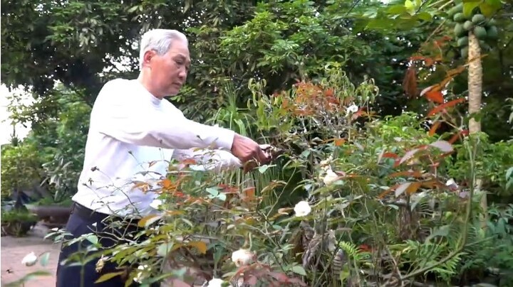 Cách ổn định đường huyết, giảm HbA1c cực đơn giản