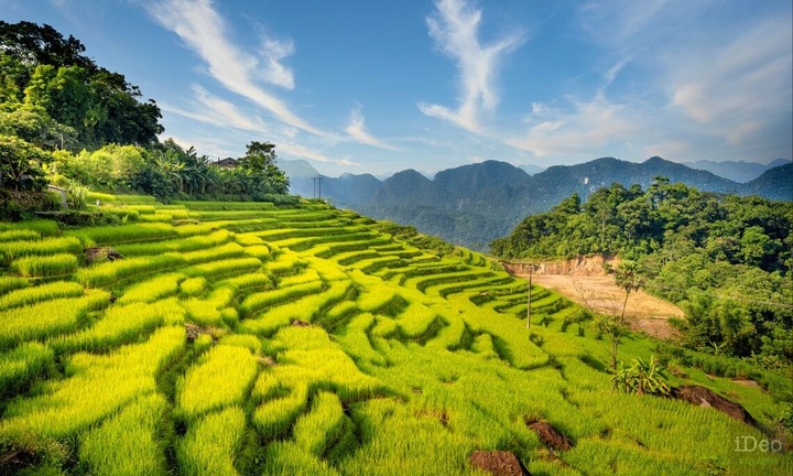 Lịch trình du lịch Pù Luông 2 ngày 1 đêm chi tiết, giá rẻ bất ngờ