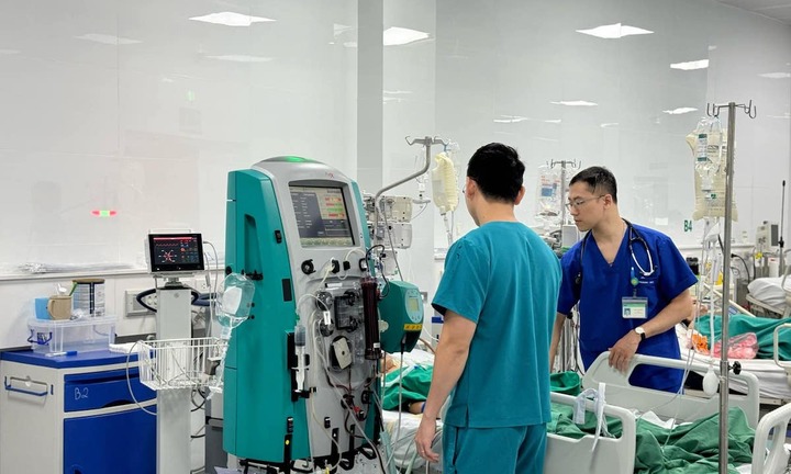 Hà Nội: Cứu sống bé gái 13 tuổi sốc phản vệ do ong đốt