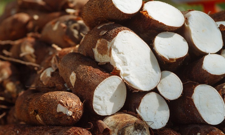 Loại thực phẩm quen thuộc tiềm ẩn nguy cơ tử vong do ngộ độc xyanua