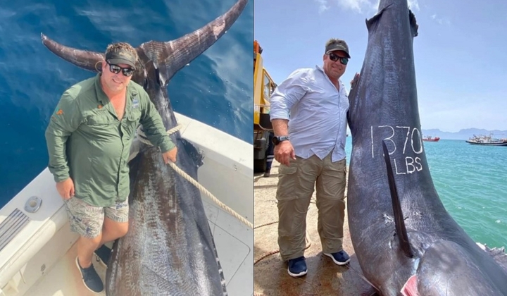 Ngư dân Nam Phi câu được cá khủng nặng hơn 600kg, chiều rộng  vây đuôi gây sốc