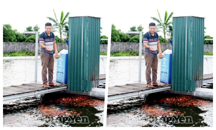 Anh nông dân mỗi năm kiếm 2 tỷ nhờ nuôi con