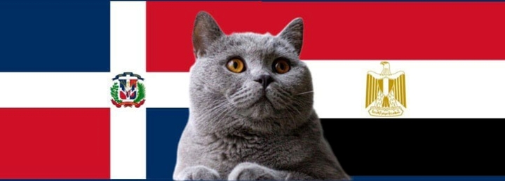 Nhận định soi kèo trận U23 Ai Cập-U23 CHDominica, Olympic 2024 22h ngày 24/7: Mèo tiên tri dứt khoát