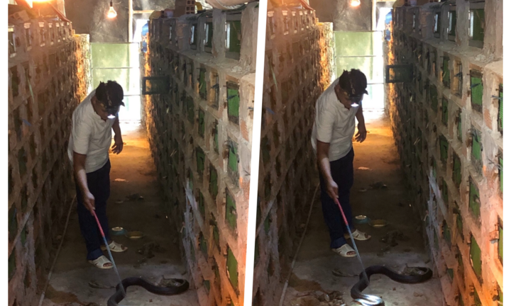 Anh nông dân kiếm tiền tỷ nhờ hướng đi ít 