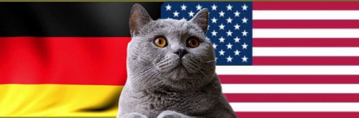 Nhận định soi kèo trận Mỹ-Đức Olympic Paris, 2h ngày 29/7: Mèo tiên tri bênh vực kẻ yếu