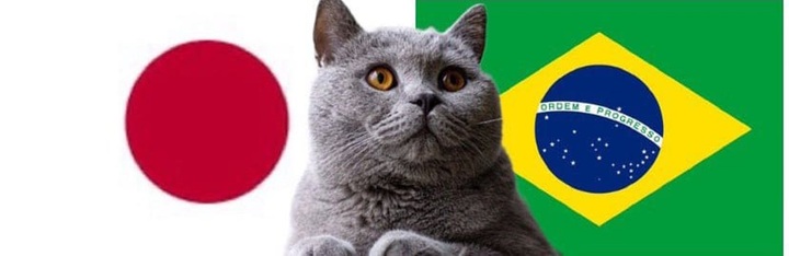 Nhận định soi kèo trận nữ Nhật Bản-Brazil Olympic Paris, 22h ngày 28/7: Mèo tiên tri phán đoán sai?