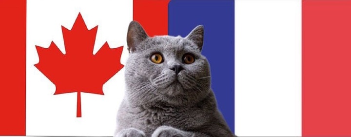 Nhận định soi kèo trận Pháp-Canada Olympic Paris, 2h ngày 29/7: Mèo tiên tri xử ép Canada