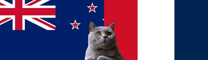 Nhận định soi kèo trận nữ Pháp-New Zealand Olympic Paris, 2h ngày 1/8: Mèo tiên tri “ái mộ” Pháp