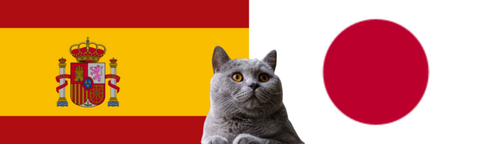 Nhận định soi kèo trận U23 Nhật Bản-U23 Tây Ban Nha Olympic Paris, 22h ngày 2/8: Mèo 