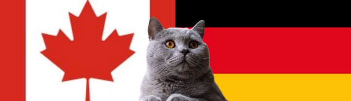 Nhận định soi kèo trận nữ Đức-Canada, Olympic Paris, 0h ngày 4/8: Mèo tiên tri “gánh còng lưng”