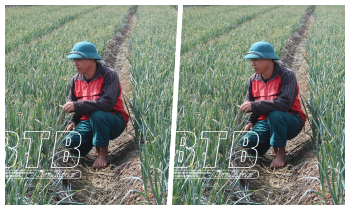 Nông dân ở Thái Bình 