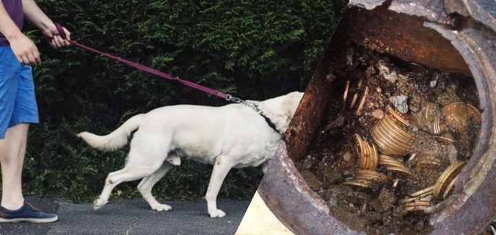 Dắt chó đi dạo, cặp vợ chồng nhặt được “kho báu” 236 tỷ đồng