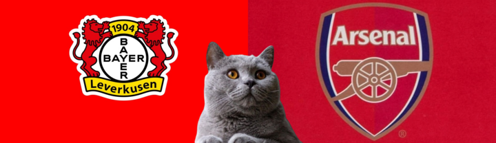 Nhận định soi kèo trận Arsenal vs Leverkusen 0h ngày 8/8: Mèo tiên tri gây “lú”