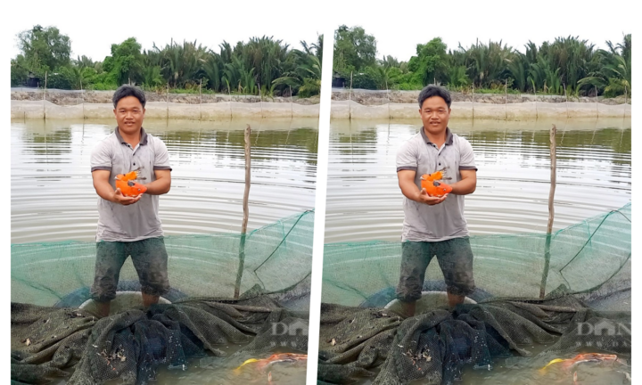 Anh nông dân mỗi năm thu nửa tỷ nhờ nuôi loài