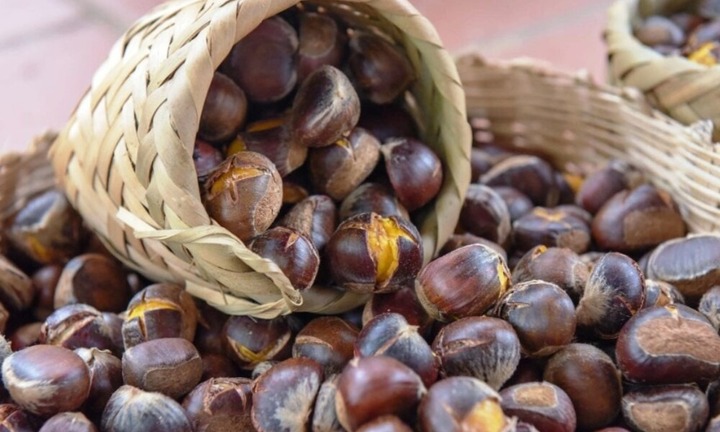 Loại quả rẻ bèo nhưng vô cùng tốt cho sinh lý nam giới