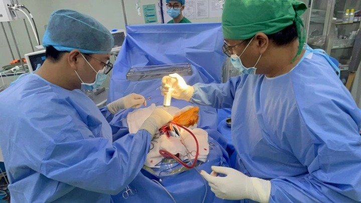 Lấy kéo ném mèo hoang, bé trai vô tình ném kéo ghim vào đầu chị gái