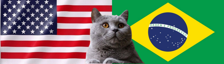 Nhận đinh soi kèo trận nữ Mỹ-Brazil Olympic Paris, 22h ngày 10/8: Mèo tiên tri chọn vũ công Samba