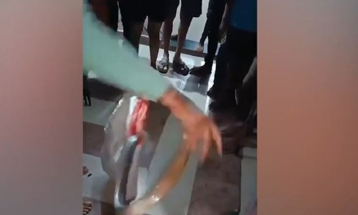 Nổi da gà cảnh người đàn ông Ấn Độ dùng tay không bắt rắn cực độc