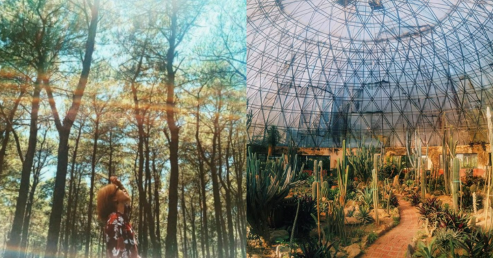 Những địa điểm chụp ảnh 