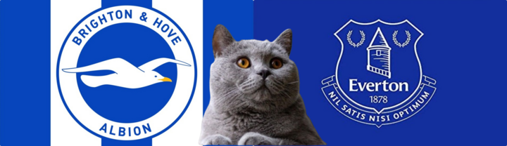 Nhận định soi kèo trận Everton-Brighton, Ngoại hạng Anh 2024/25, 21h ngày 17/8: Mèo tiên tri gặp khó