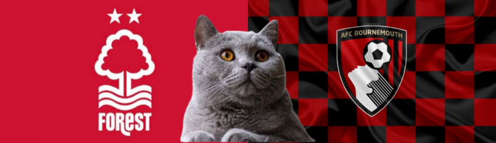Nhận định soi kèo trận Nottingham Forest-Bournemouth Ngoại hạng Anh 21h ngày 17/8: Mèo tiên tri sai?