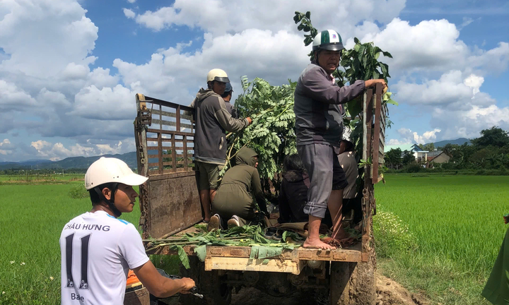 Bơm nước rửa mạ, hai thiếu nữ đuối nước thương tâm