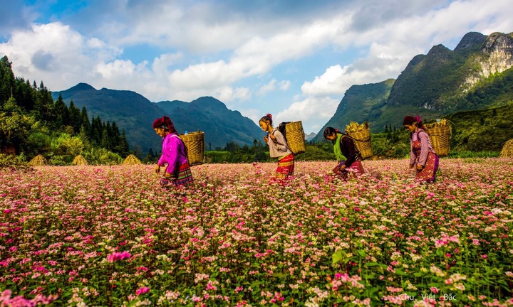 Gợi ý nhưng tour nhóm xuất phát từ TP HCM?