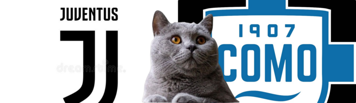 Nhận định soi kèo trận Juventus-Como, Serie A 1h45 ngày 20/8: Mèo tiên tri khiến NHM