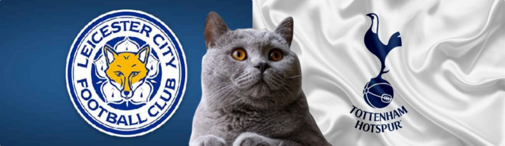 Nhận định soi kèo trận Leicester-Tottenham, Ngoại hạng Anh 2h ngày 20/8: Mèo tiên tri thích gà trống