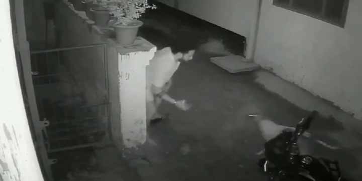 Đang nghe điện thoại, nam thanh niên bị chú chó hoang 