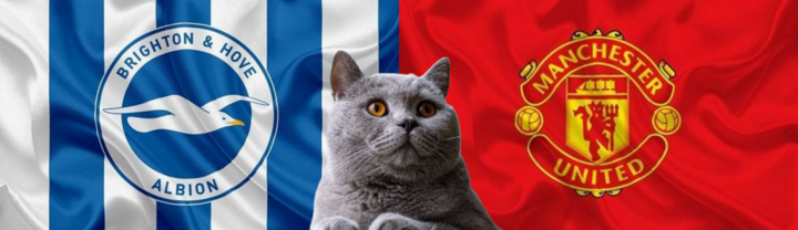 Nhận định soi kèo trận Brighton-MU, Ngoại hạng Anh 18h30 ngày 24/8: Mèo tiên tri mê dòng máu Quỷ đỏ
