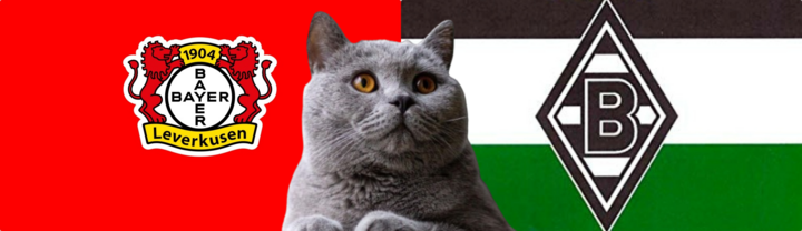 Nhận định soi kèo trận M'Gladbach-Leverkusen, Bundesliga 1h30 ngày 24/8: Mèo tiên tri nhanh gọn