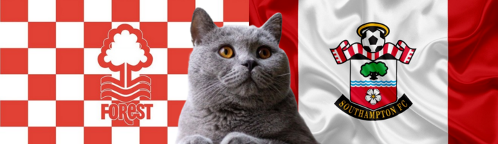 Nhận định soi kèo Southampton-Nottingham Forest, Ngoại hạng Anh 21h ngày 24/8: Mèo chọn ai?