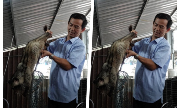 Anh nông dân mỗi năm lãi hơn 1 tỷ nhờ nuôi chồn hương theo cách