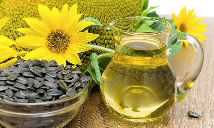 Tại sao dầu hướng dương lại tốt cho da?