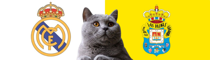 Nhận định soi kèo trận Las Palmas vs Real Madrid, La Liga 2h30 ngày 30/8: Mèo tiên tri quỳ gối