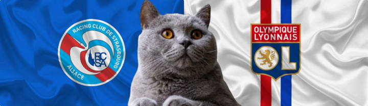 Nhận định soi kèo trận Lyon vs Strasbourg, Ligue 1 1h45 ngày 31/8: Mèo tiên tri như chuyên gia