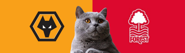 Nhận định soi kèo trận Nottingham vs Wolves, Ngoại hạng Anh, 21h ngày 31/8: Mèo tiên tri gánh teams