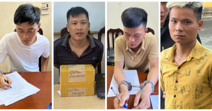 Triệt phá đường dây chuyên 