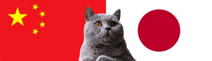 Nhận định soi kèo trận Nhật Bản vs Trung Quốc, 17h35 ngày 5/9: Mèo tiên tri ái mộ Samurai