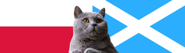 Nhận định soi kèo trận Scotland vs Ba Lan, Nations League 1h45 ngày 6/9: Mèo tiên tri bảo thủ?