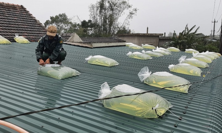 Cần làm gì để ứng phó trước, trong và sau siêu bão số 3 Yagi?