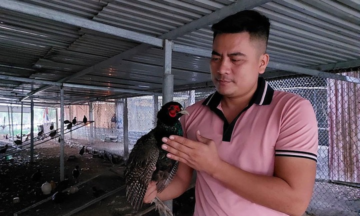 Cử nhân luật thu nhập hàng năm trên 300 triệu nhờ nuôi loài yếu ớt, ưa sạch sẽ