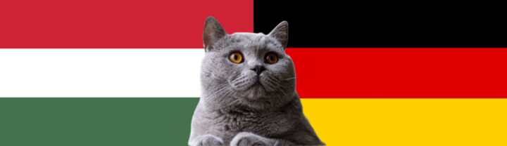 Nhận định soi kèo trận Đức vs Hungary, Nations League 1h45 ngày 8/9: Mèo tiên tri chọn “cỗ xe tăng”