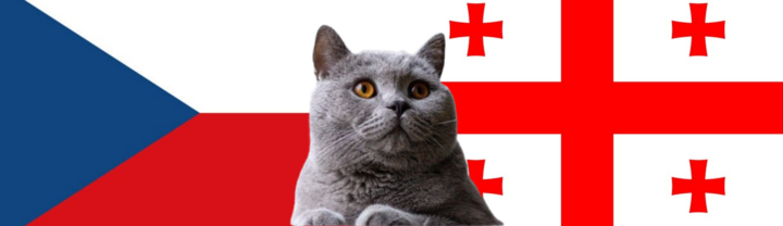 Nhận định soi kèo trận Georgia vs CH Séc, Nations League 23h ngày 7/9: Mèo tiên tri khó xử