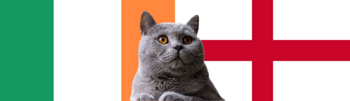 Nhận định soi kèo trận Ireland vs Anh, Nations League 23h ngày 7/9: Mèo tiên tri thách thức Ireland