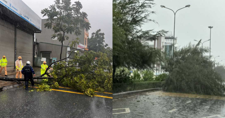 Quảng Ninh: Huyện Cô Tô gió giật cấp 15 gây gẫy đổ cây xanh, chìm 4 tàu xi măng