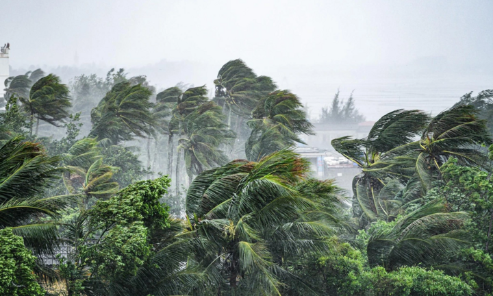 Hải Phòng: Thiệt hại do bão số 3 là rất lớn, chưa thế thống kê chi tiết