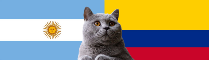 Nhận định soi kèo trận Colombia vs Argentina, 3h30 ngày 11/9: Mèo tiên tri biết kết quả cuối cùng