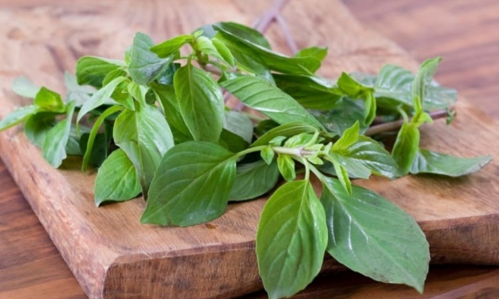 Loại rau tạo hương vị cho tô phở được mệnh danh là 